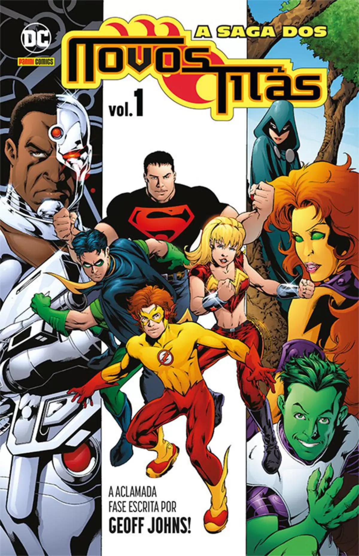 A Saga Dos Novos Titãs 01