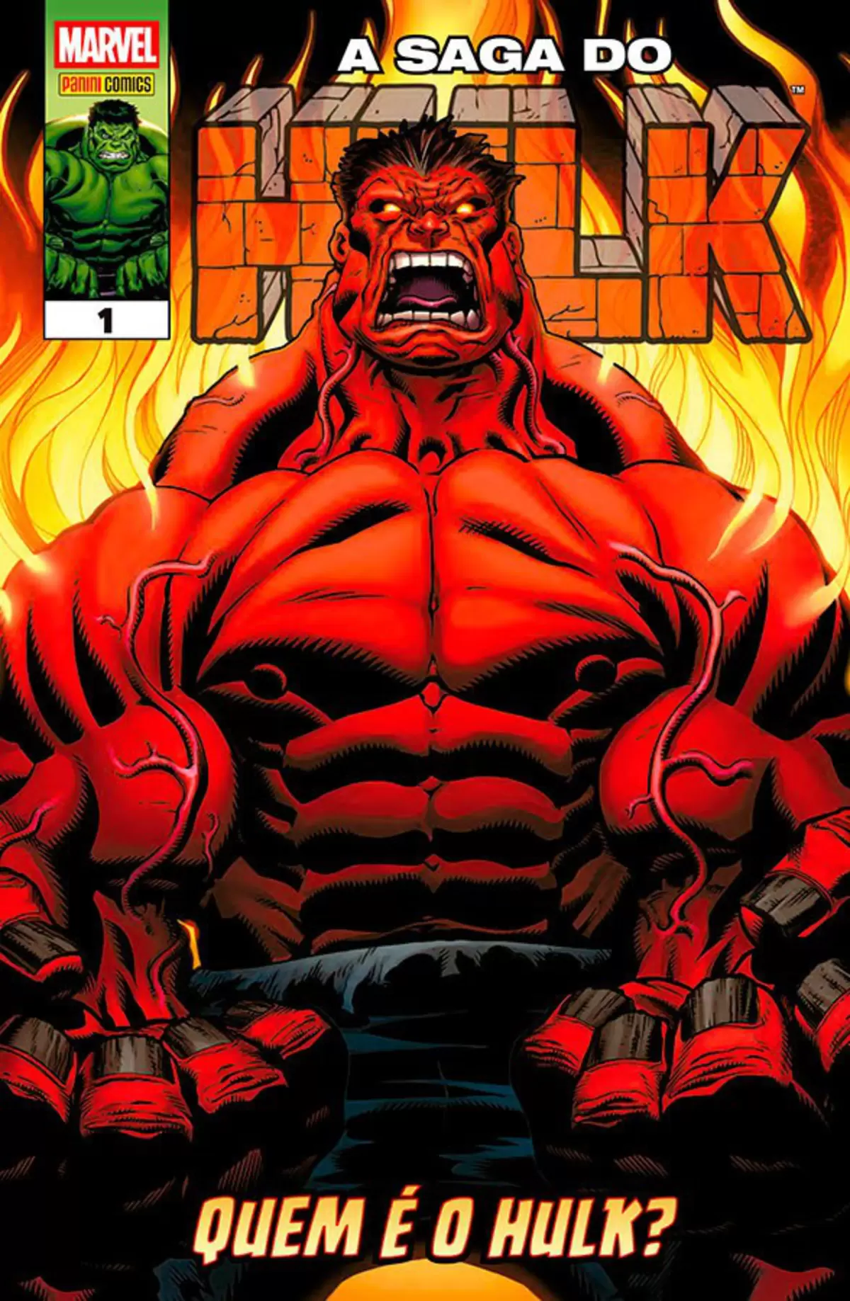 A Saga Do Hulk 01