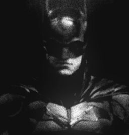 Bruno 🦇