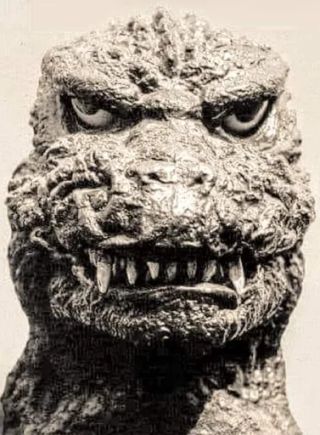 tavus