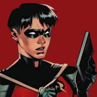 nightwing's gf