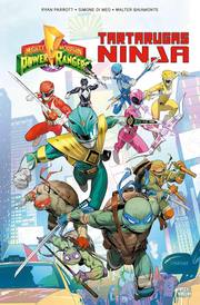 Power Rangers e Tartarugas Ninja Vol. 1