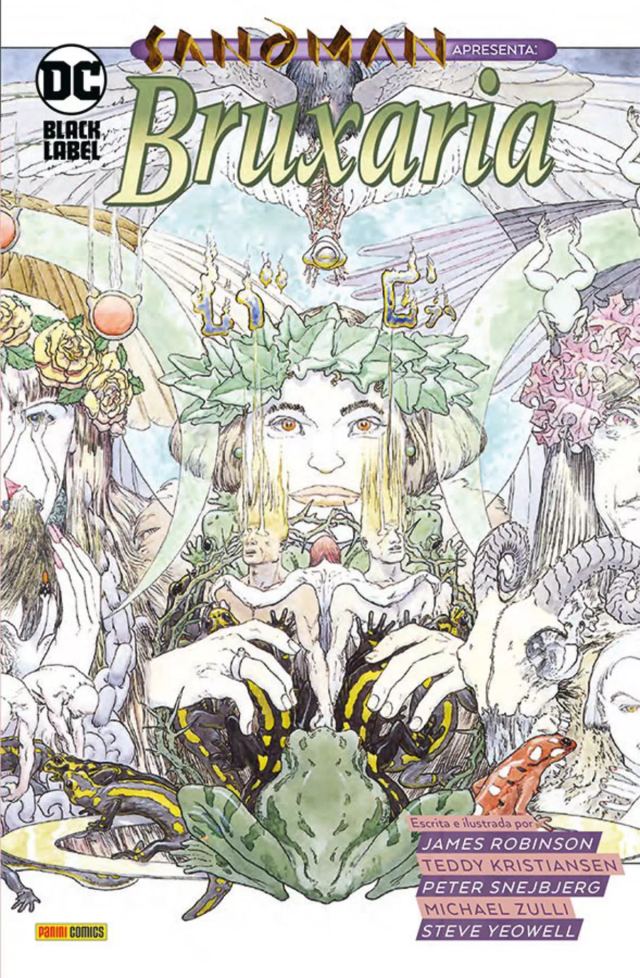 Capa de Sandman Apresenta Vol. 10: Bruxaria